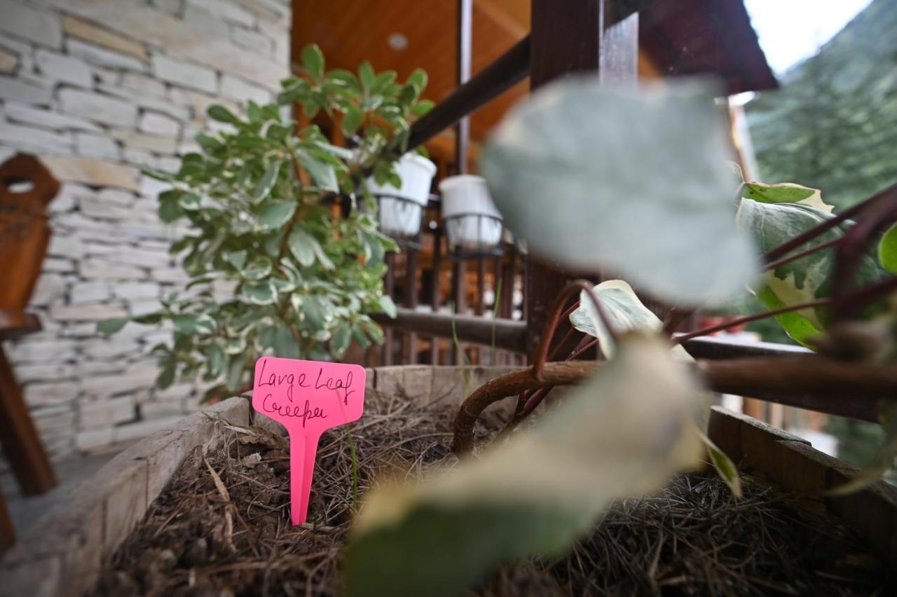 The Hillside Hotel กาซอล ภายนอก รูปภาพ
